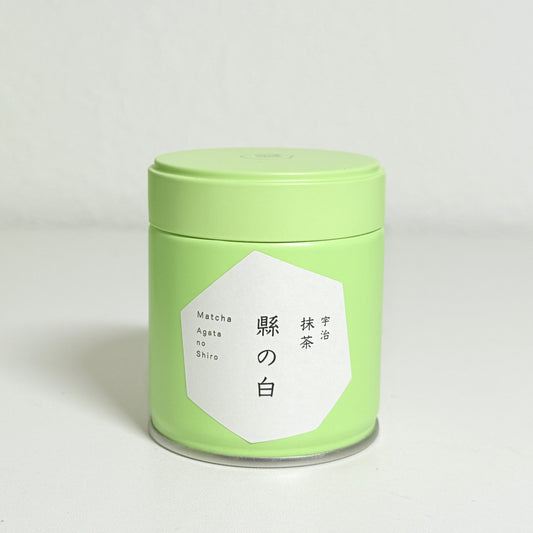 Matcha Sampler Pack